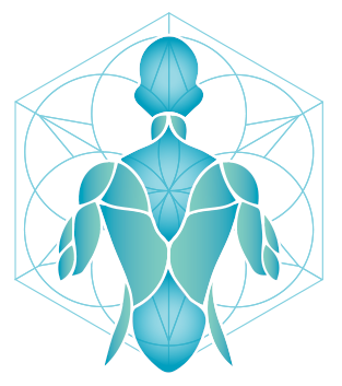 Logo Osteopathe Bordeaux Basile Pagliardini